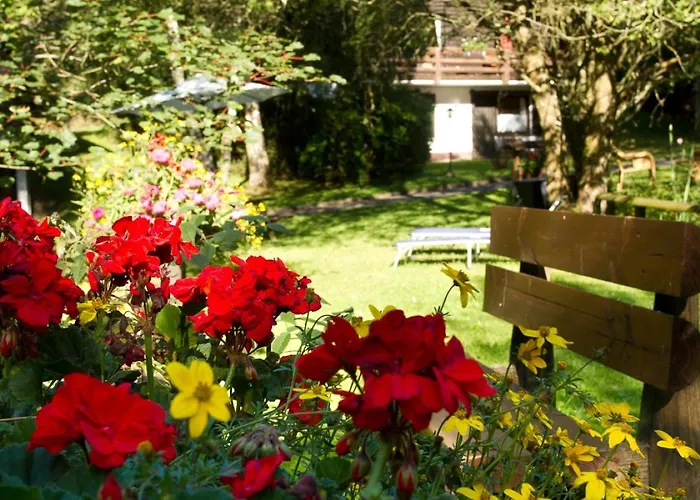 Haus 2 - Typ B Resort Schönecken