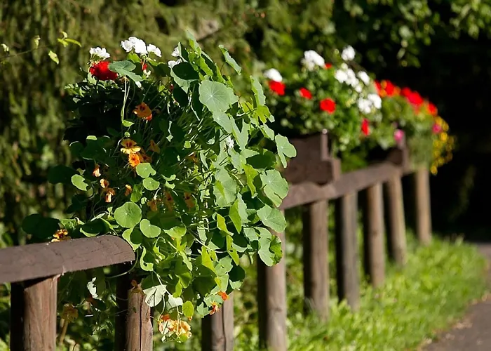 Haus 2 - Typ B Resort